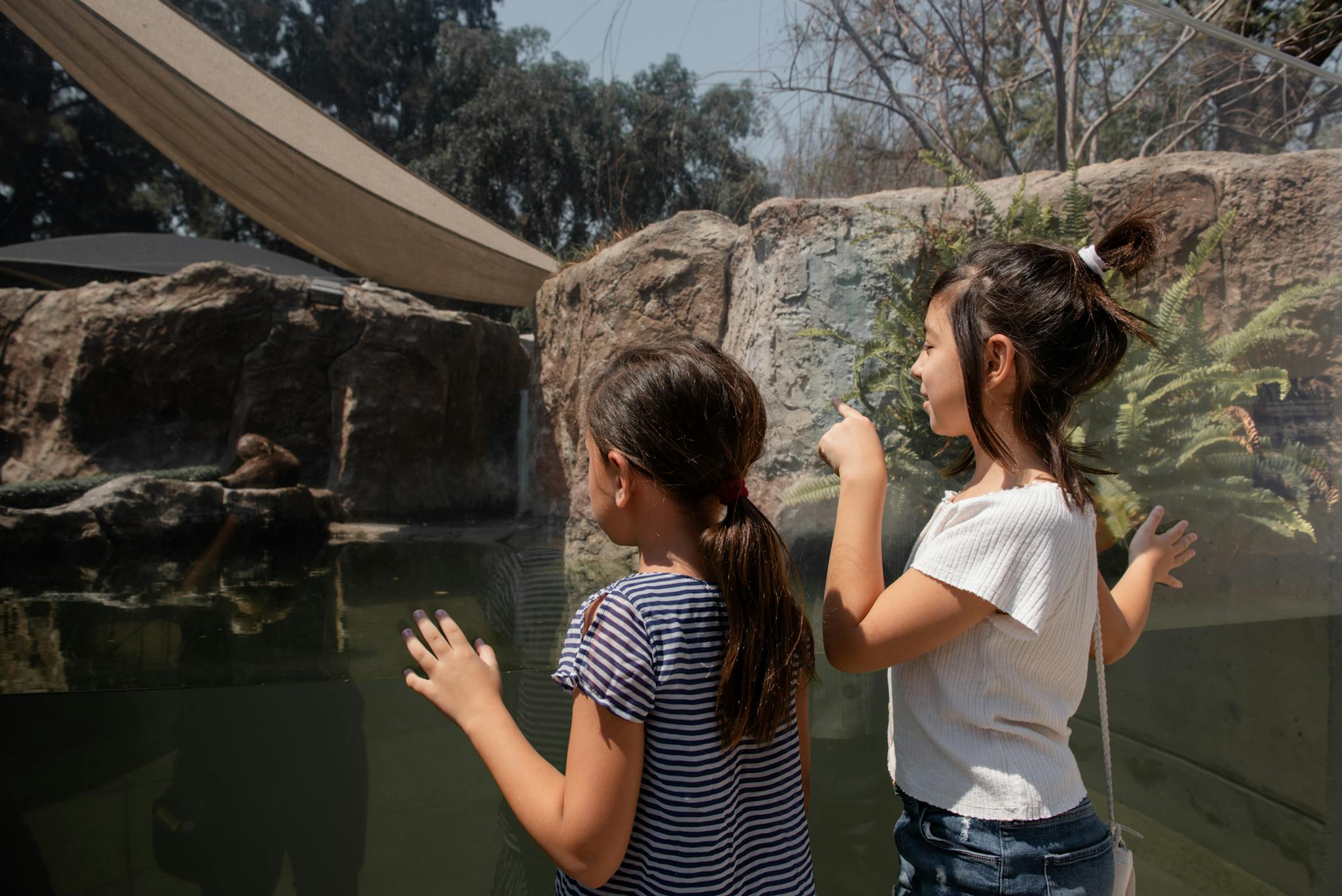 Two children observing an otter in a zoo aquarium through glass.